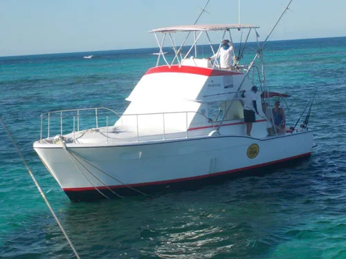 Prevent Motion Sickness - tips and remedies collected by us